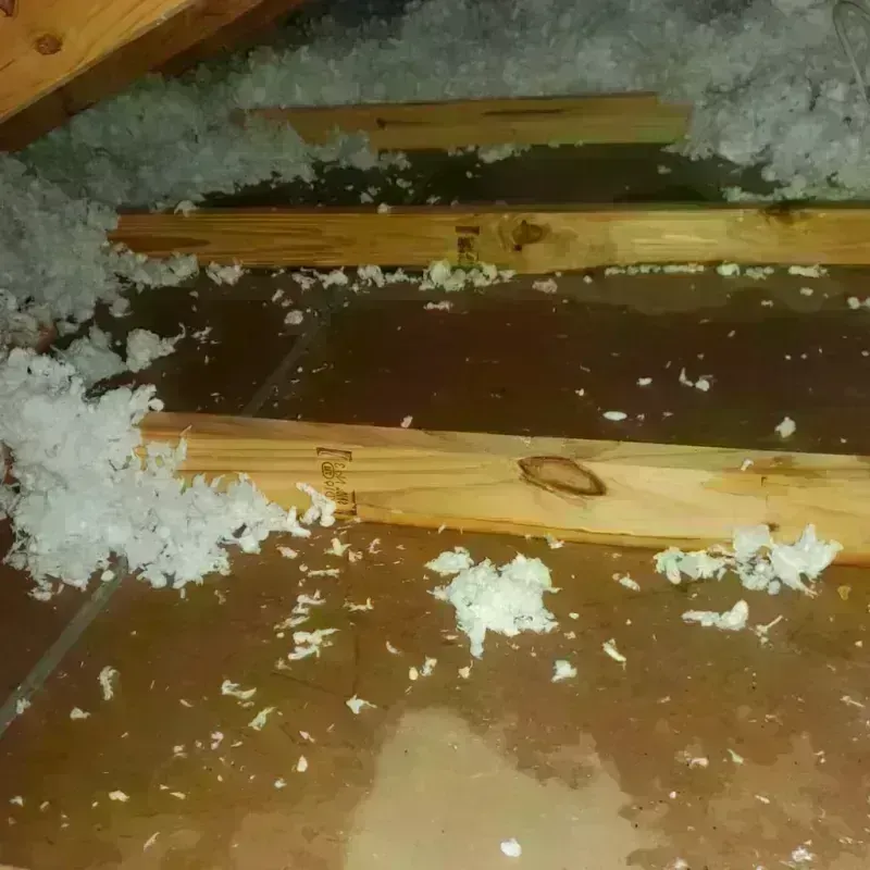 Attic Water Damage in Pleasant Grove, OH