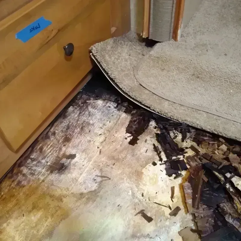 Wood Floor Water Damage in Pleasant Grove, OH